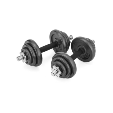 Гантель Gymtek 2 x 10 кг чавун